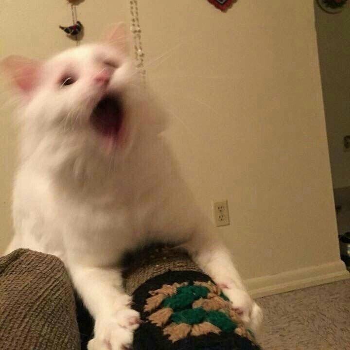 恒新