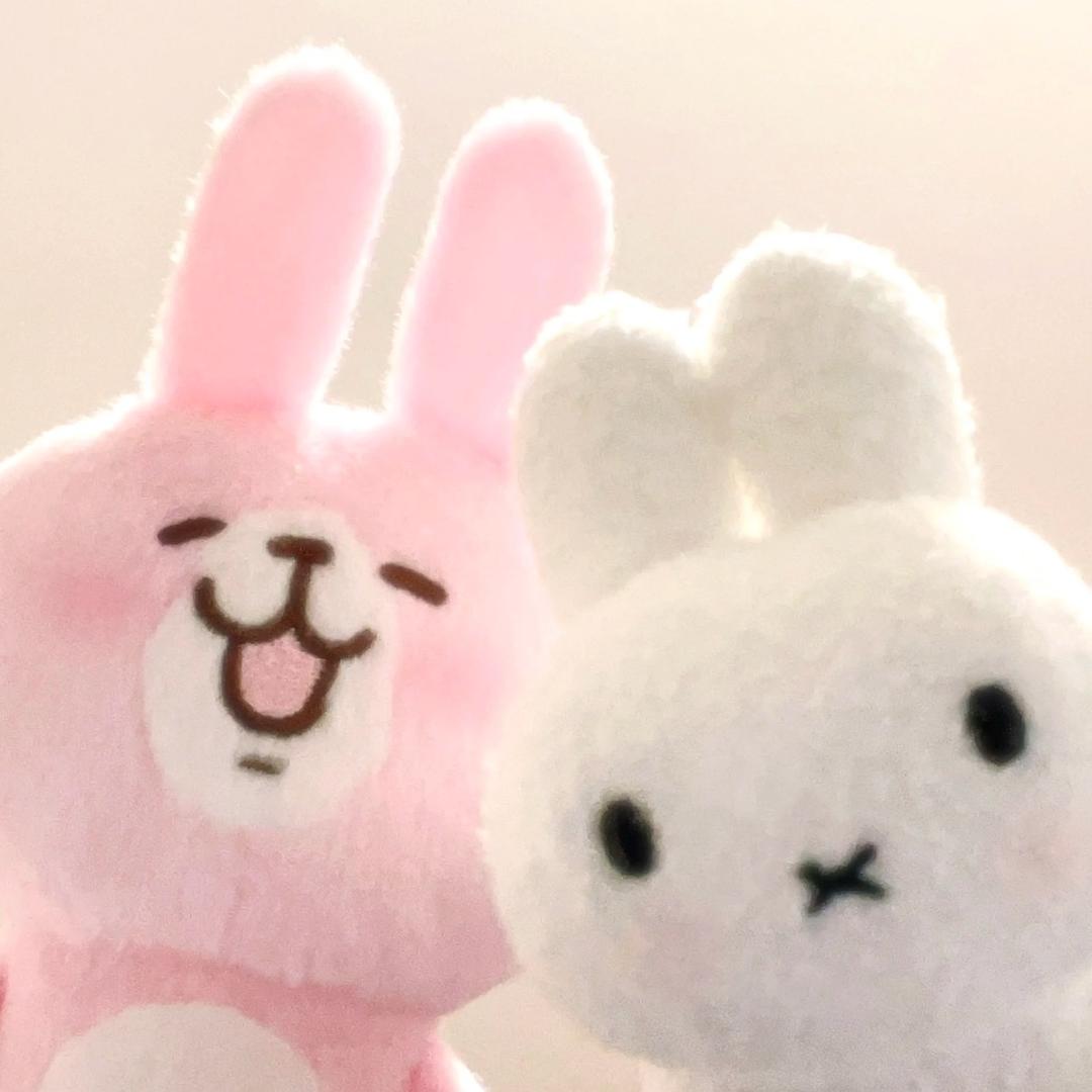 梦想是成为懒羊羊