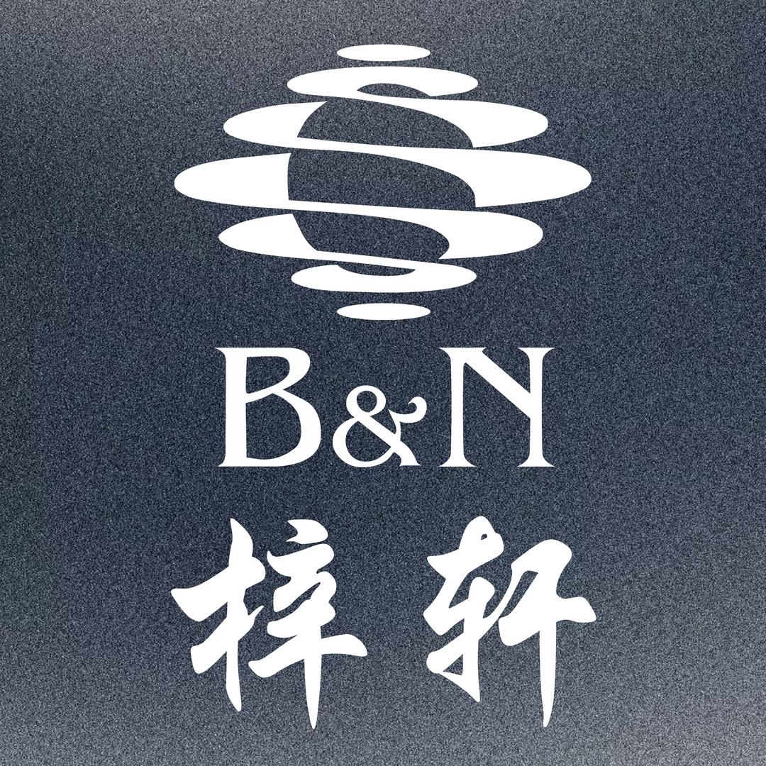BN台球杆 梓轩店