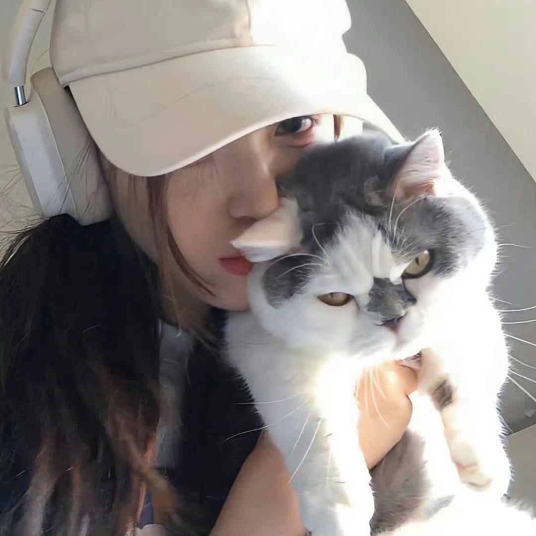 乐观的沙发