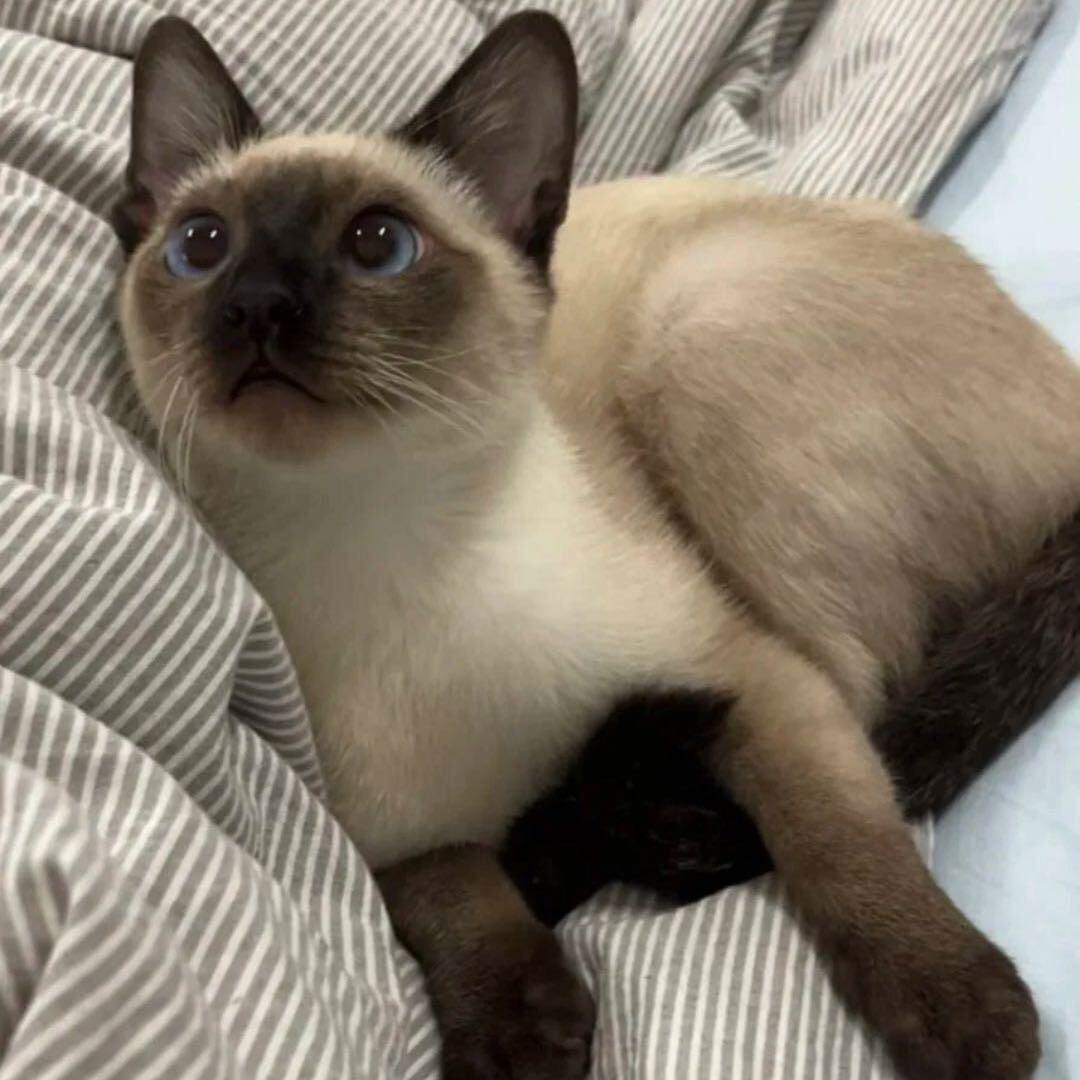 Mon