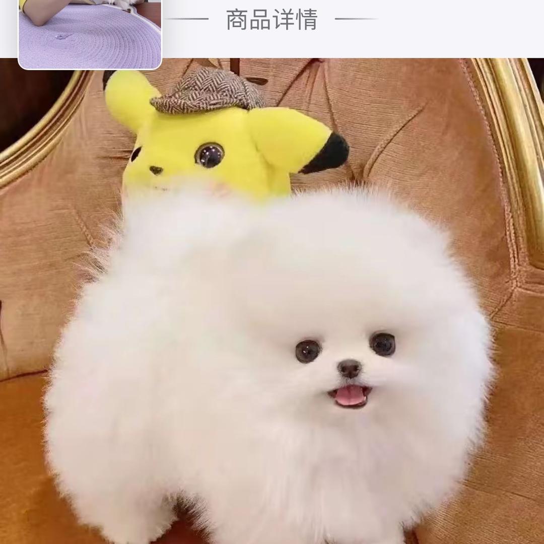 钱多多👩🏻