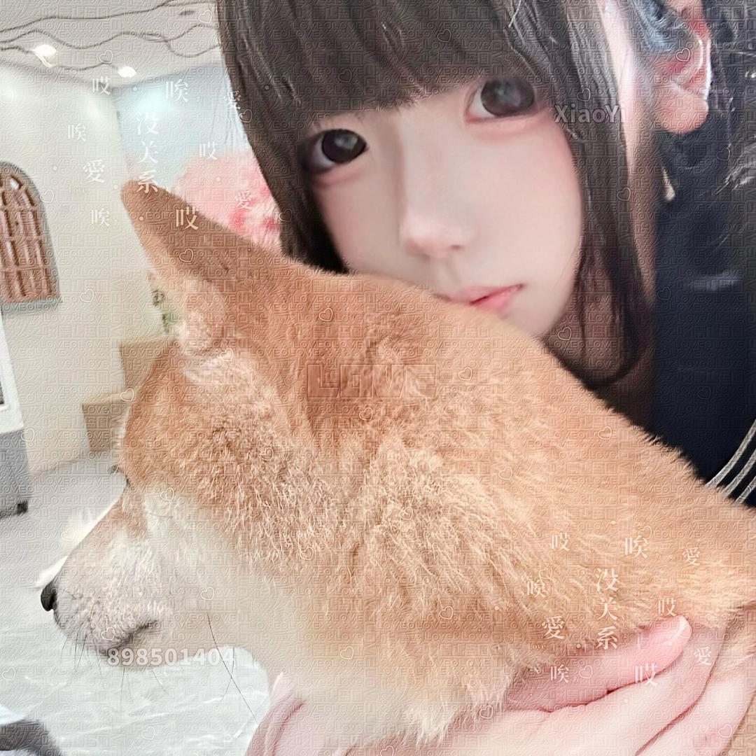 >ᴗO