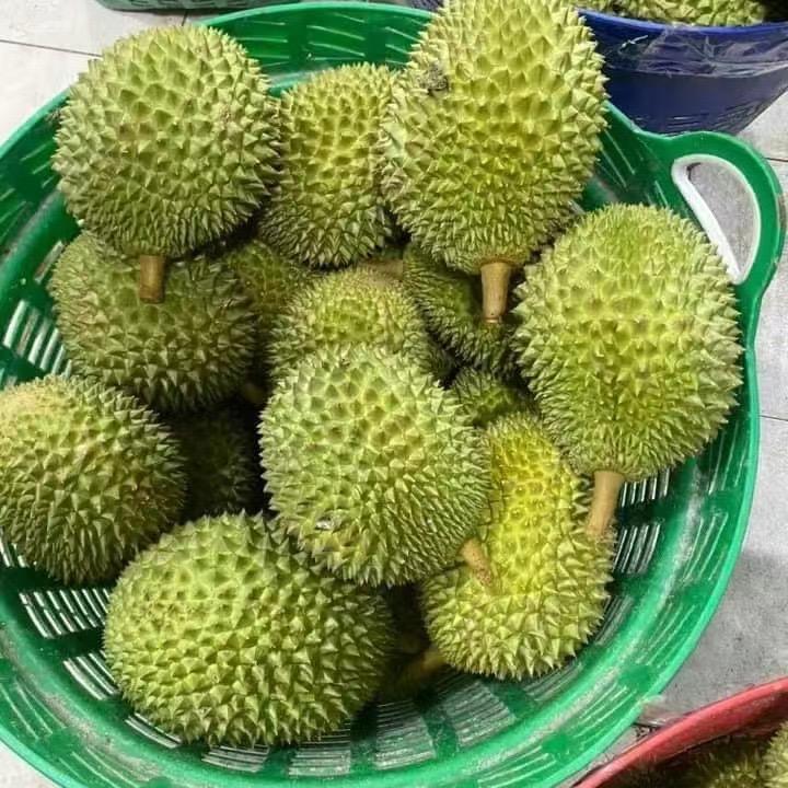 大弘资本（江南老表）