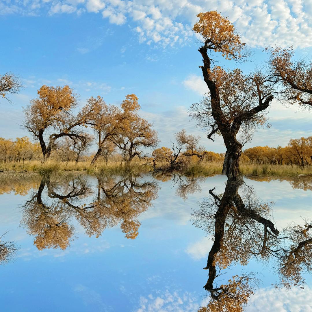 ꧔ꦿ᭄💞朝花夕拾₅₂₀💞࿐摄影