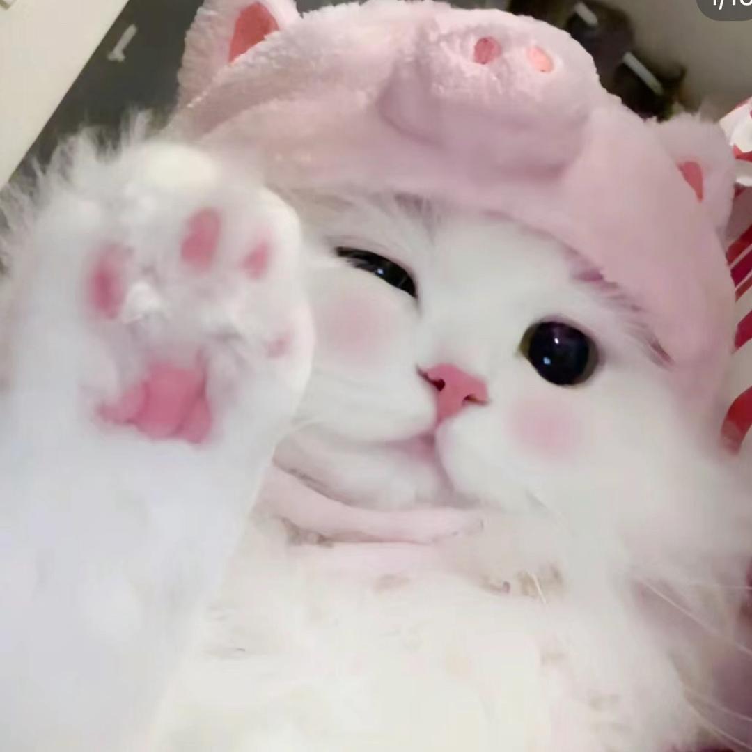 夏弥