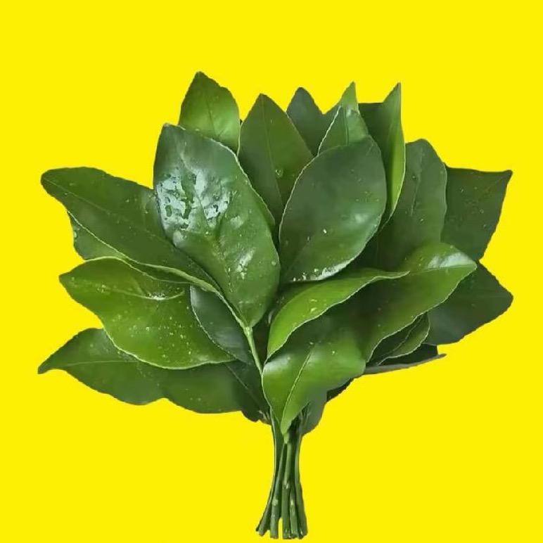 浮生
