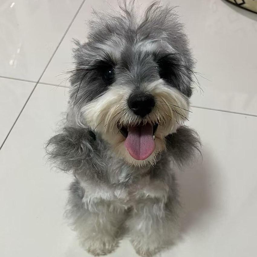 清欢大大