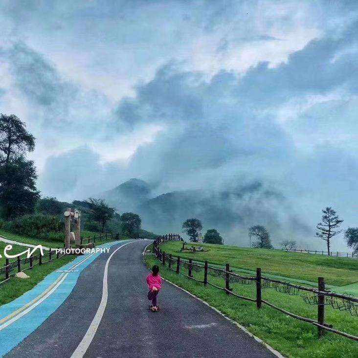 院长说车-彭于晏