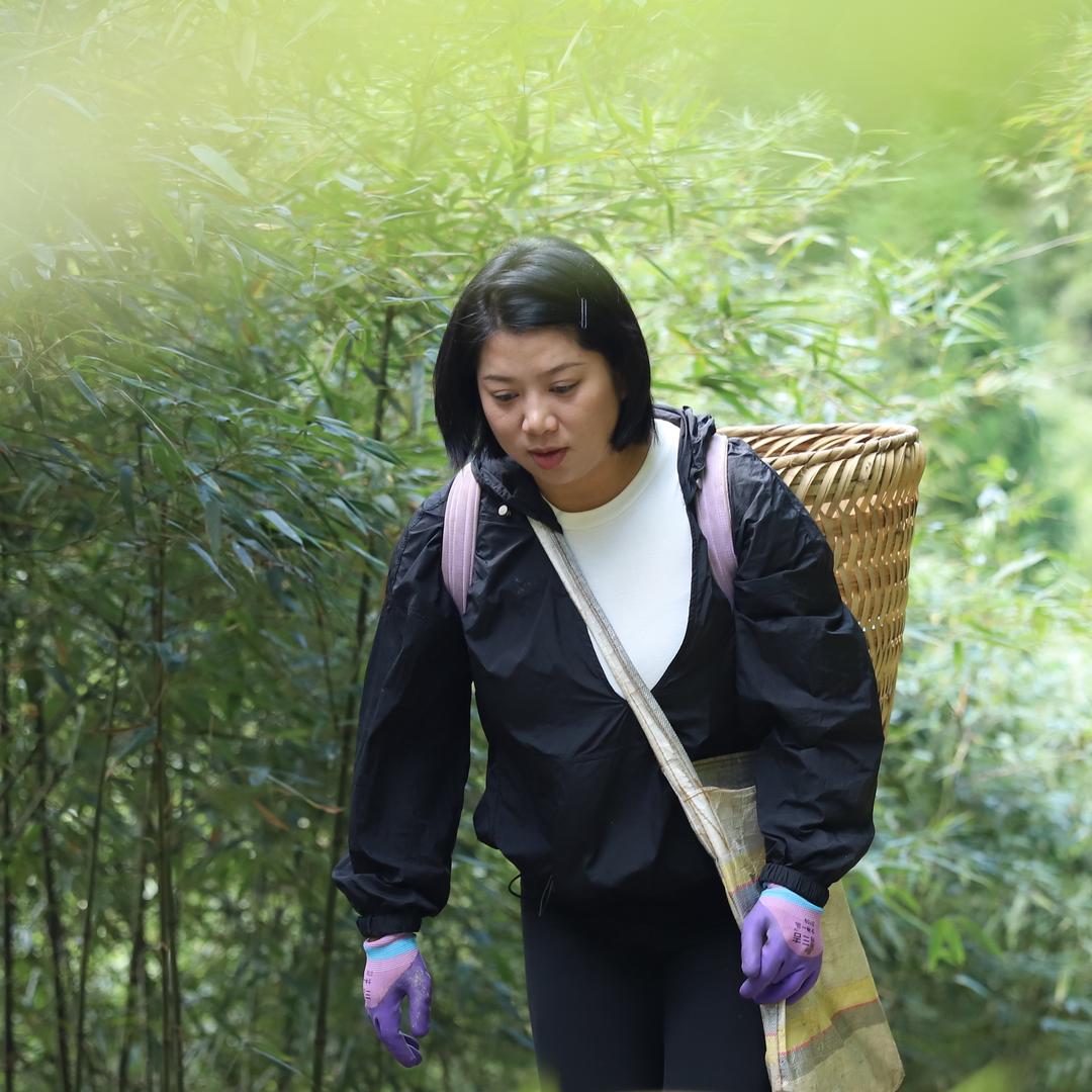 仙峰新农人应秋梧