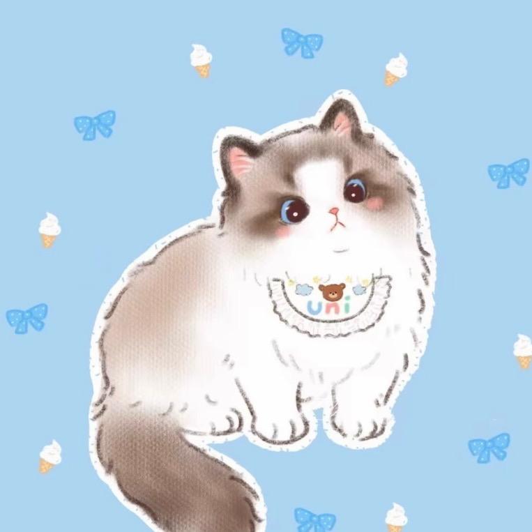 小圆优选