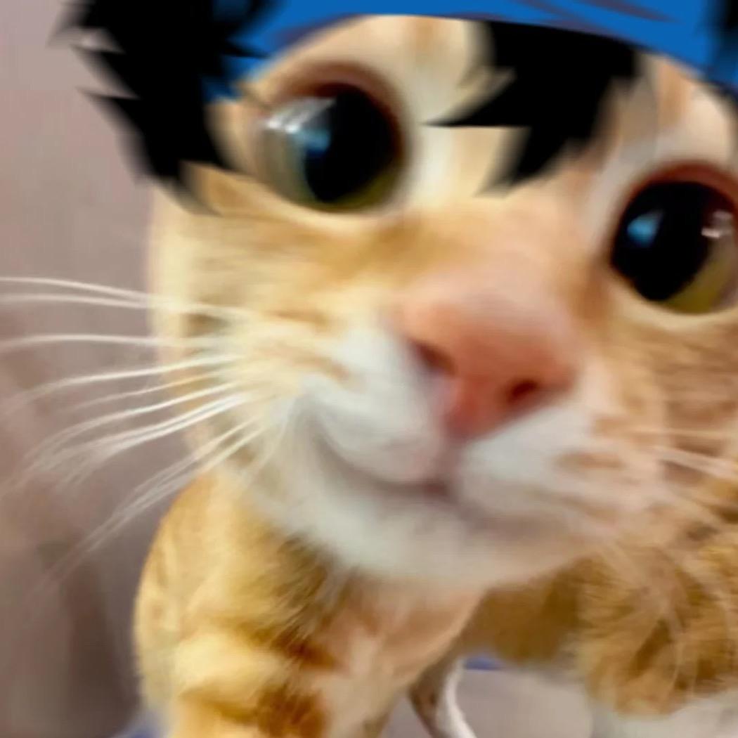 猫meme趣趣多