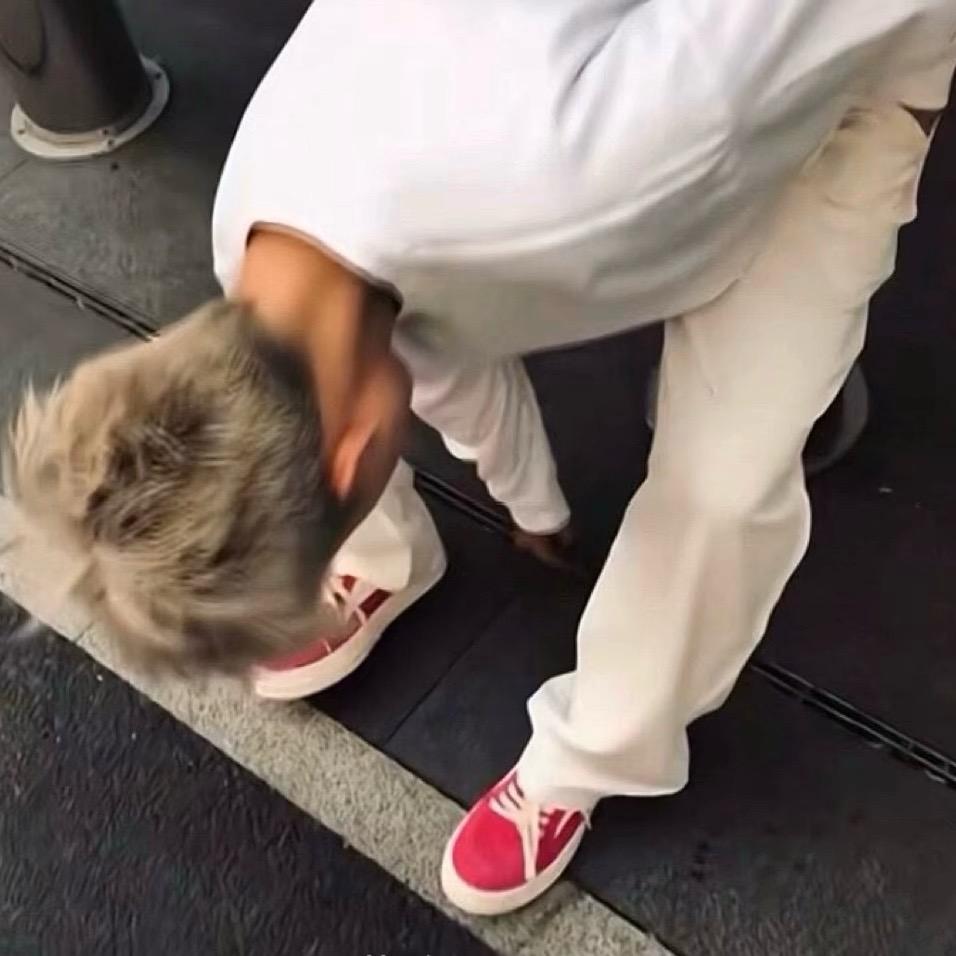 李劉