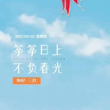 独行侠客