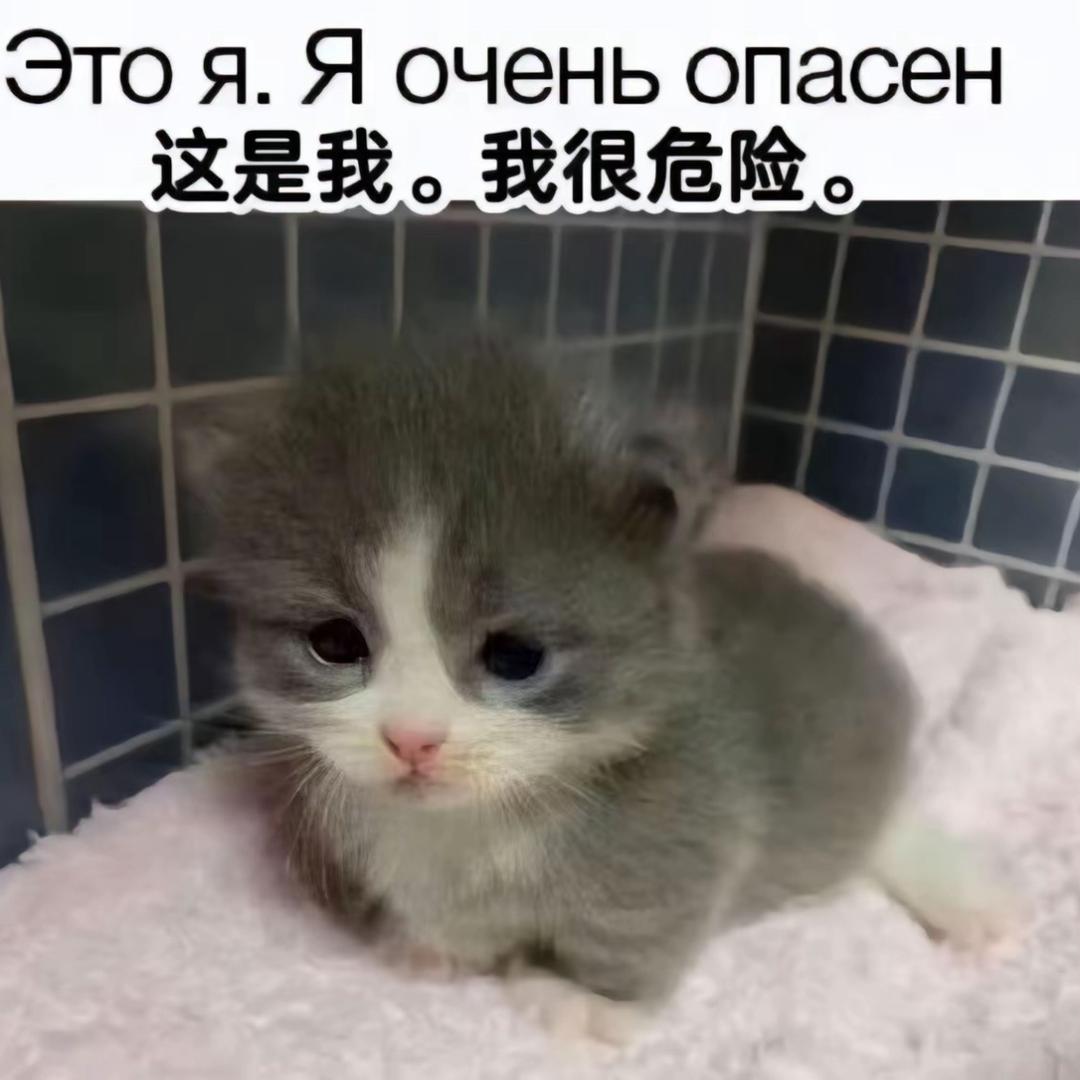 (´-ω-`)