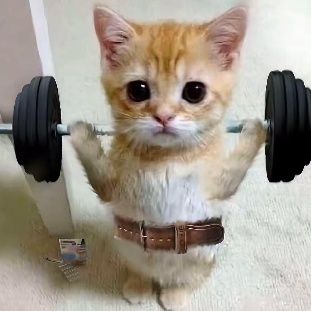 ^_^.