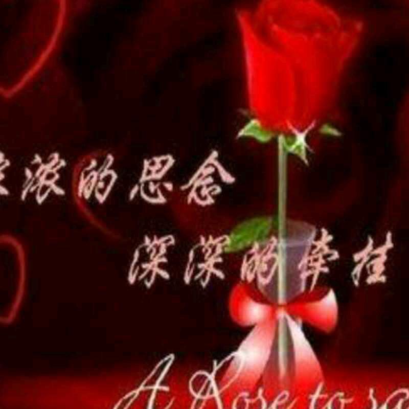 你的世界我来过