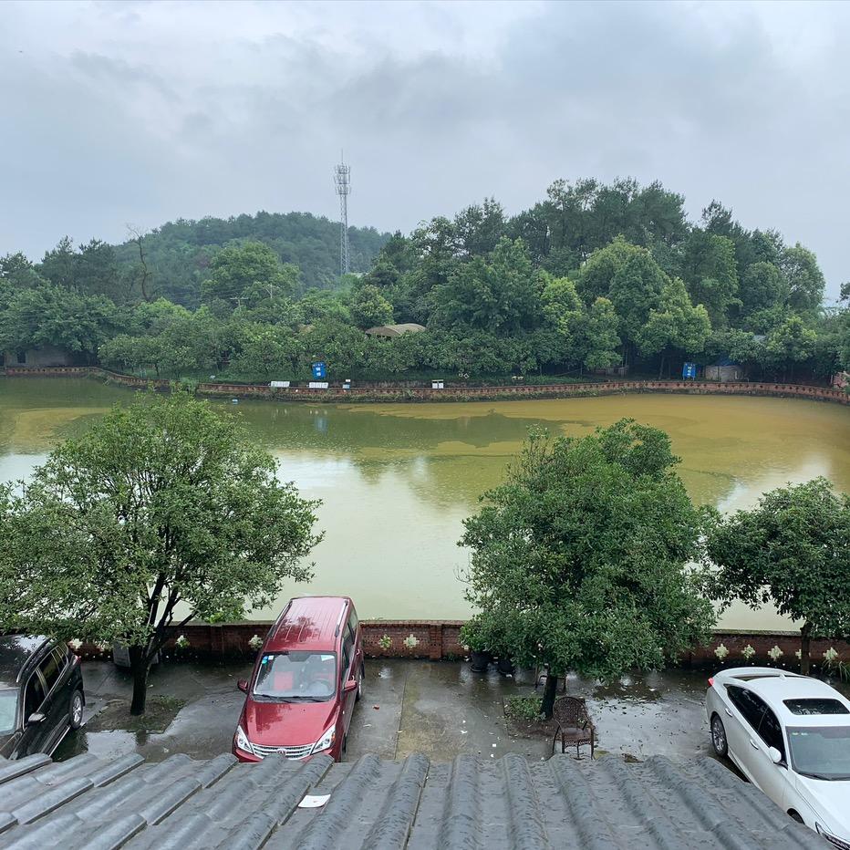 怎么了