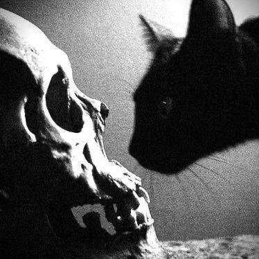 能取消早八不。