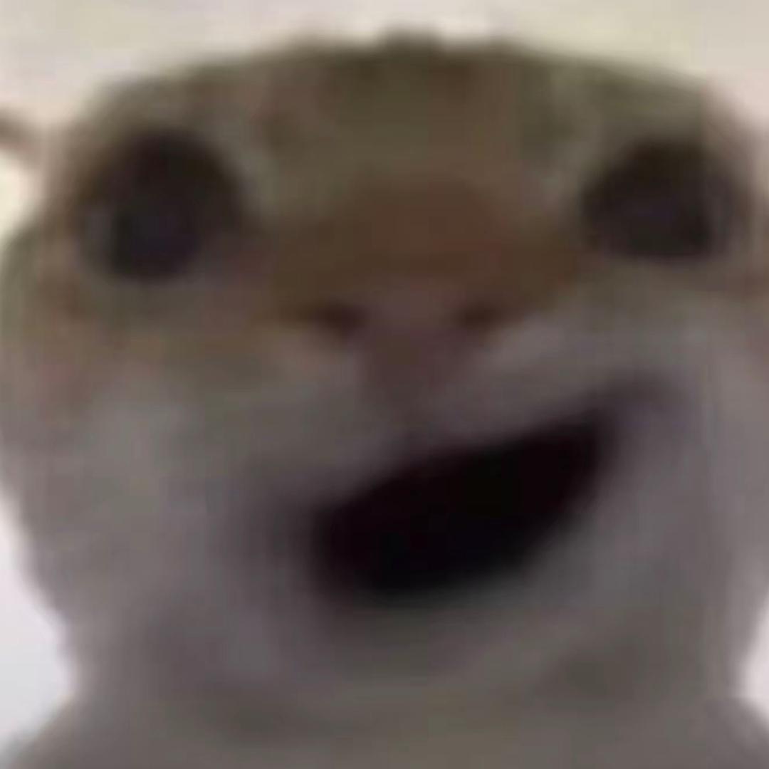 UU（三角洲跑刀鼠）