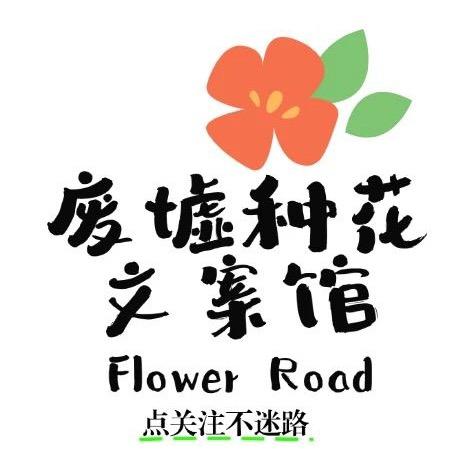 废墟种花文案馆