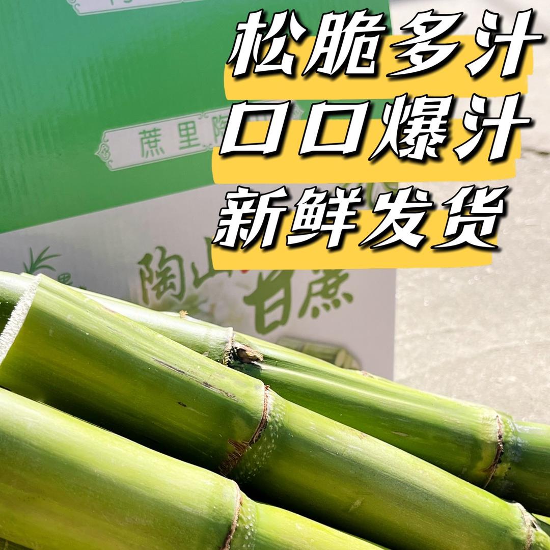 陶山甘蔗满福经营部