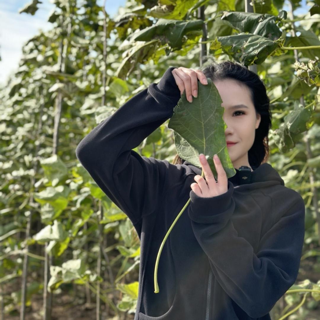 德州远景园林【糖糖】