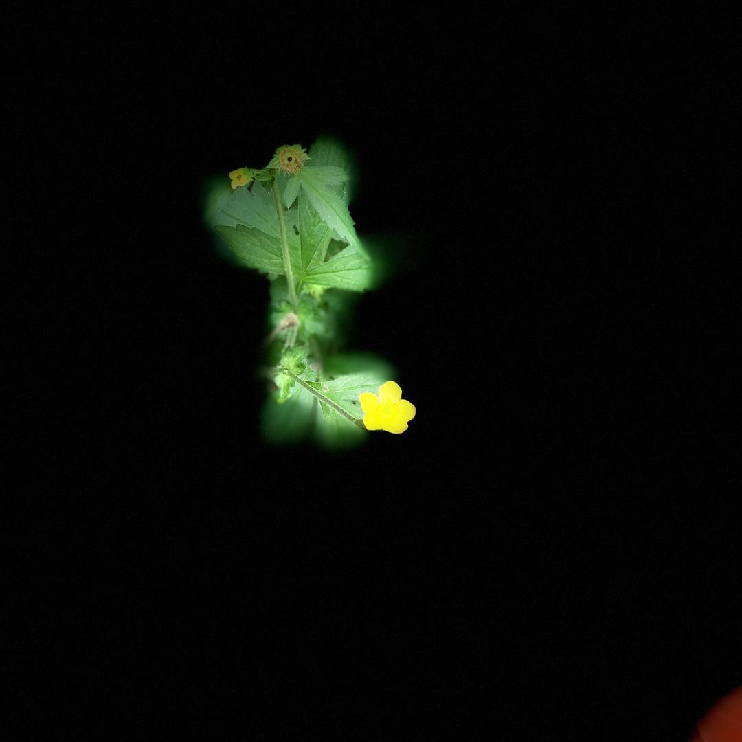 有你真好