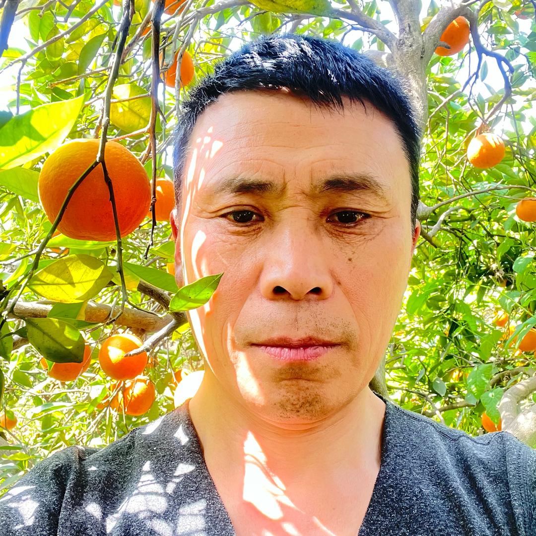 开心农场