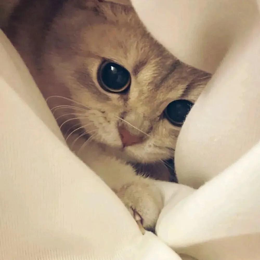 黑眼圈