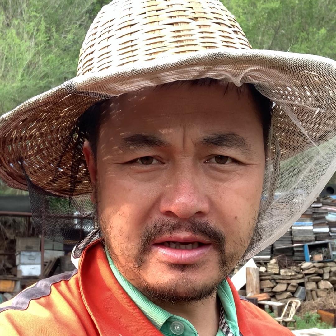 养蜂一生（科普号）·穆丹乌拉