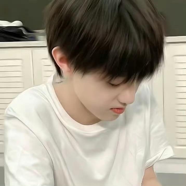 理想