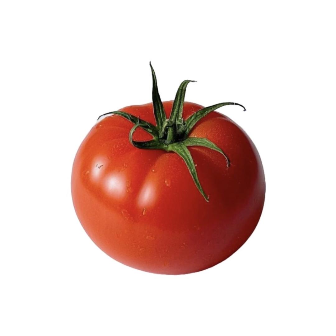 西红柿🍅