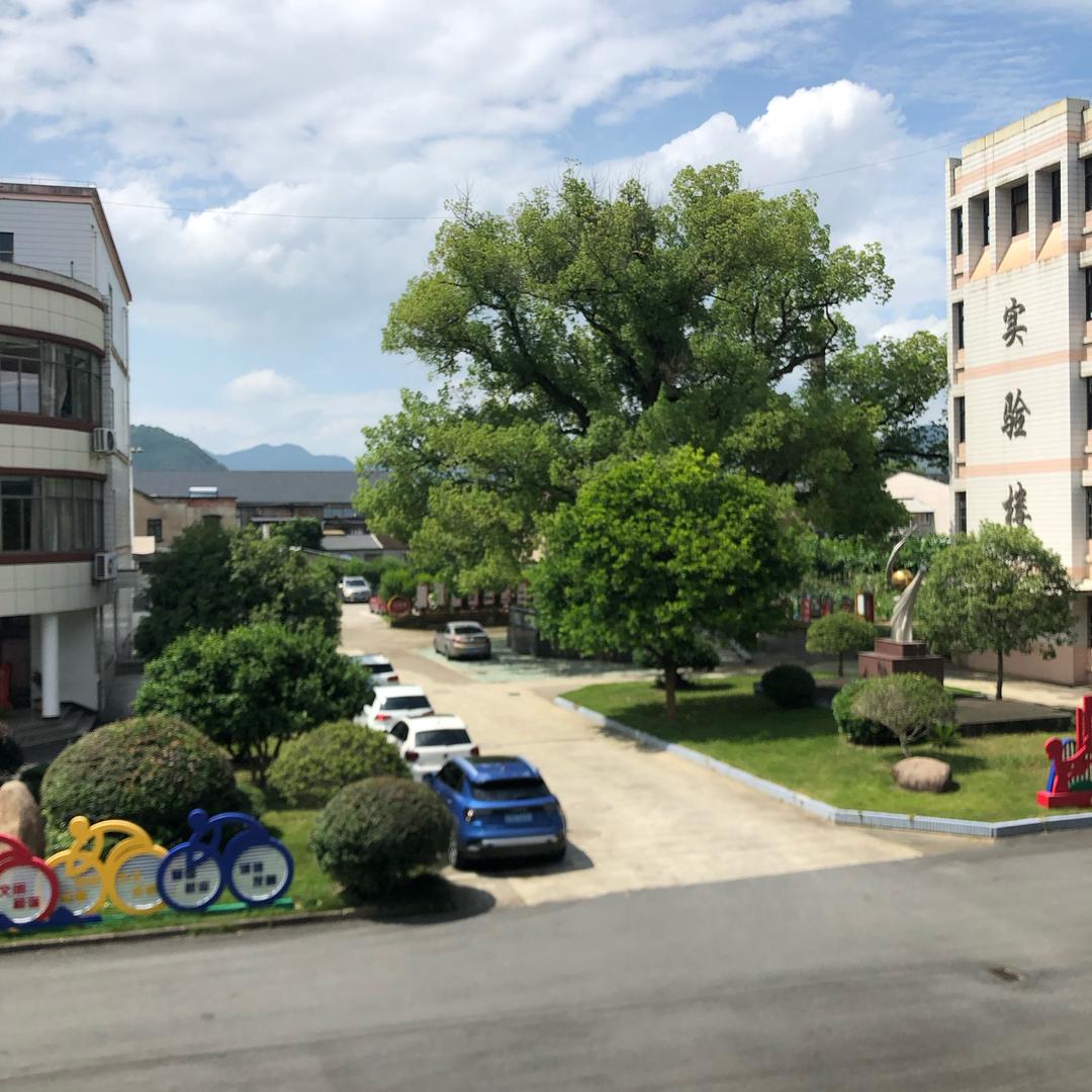 农村老人