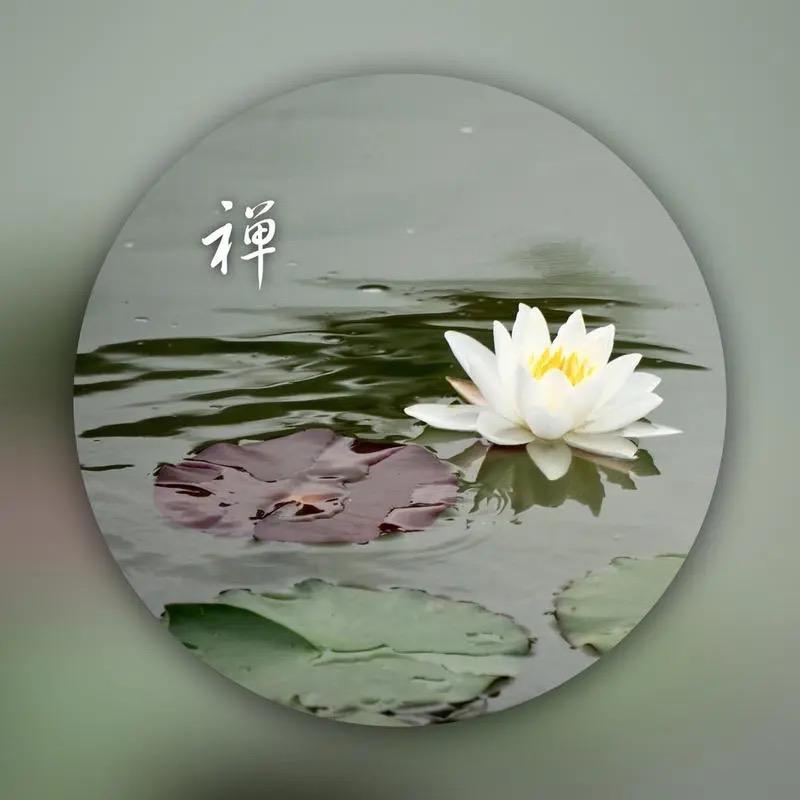 菩提花
