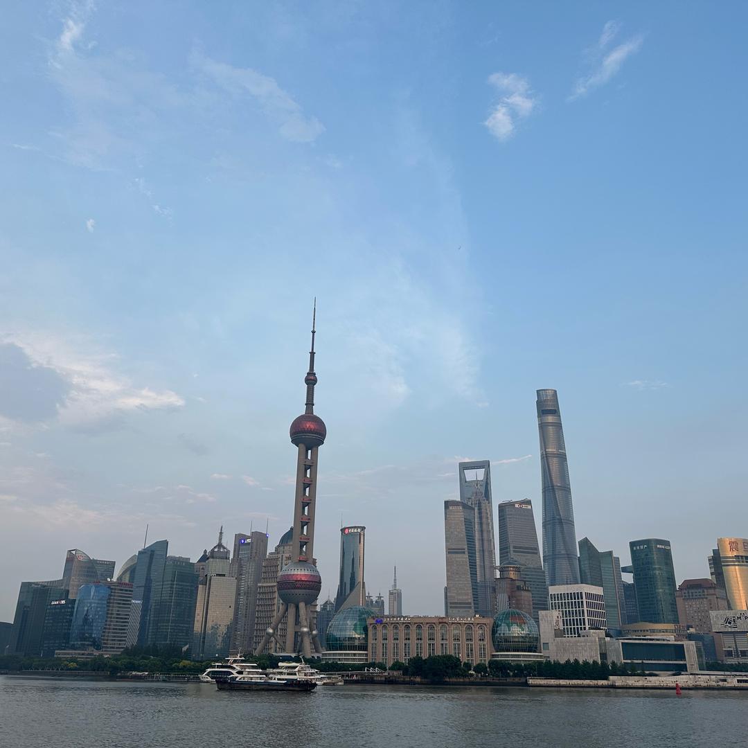 维维斯诺