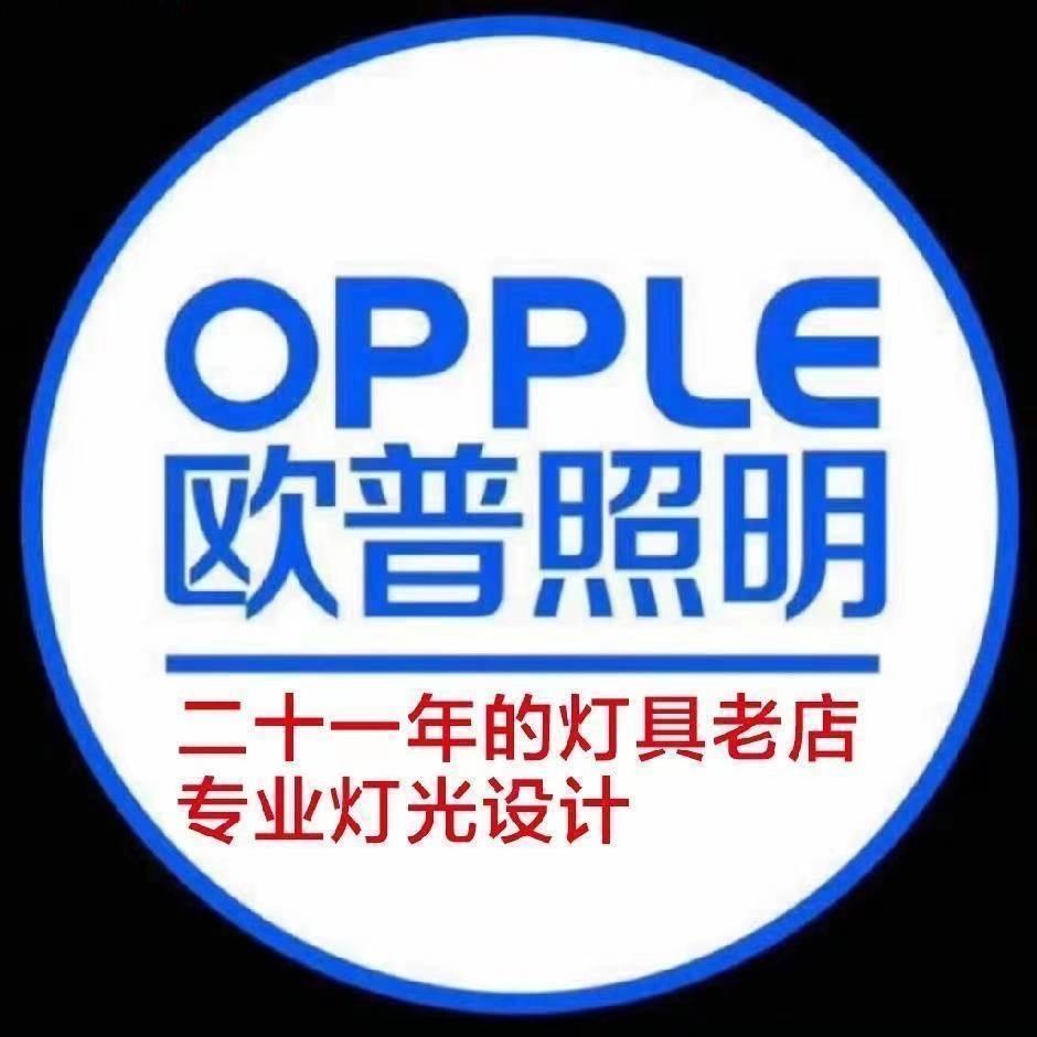 欧普照明富森店