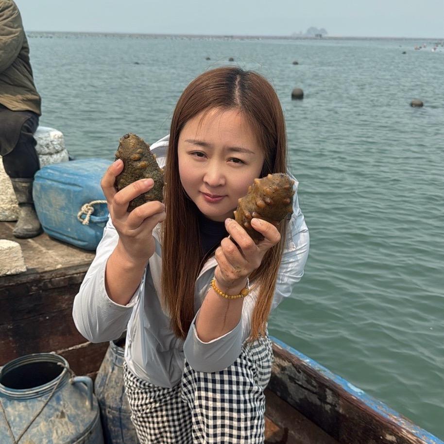 美丽姐的海参