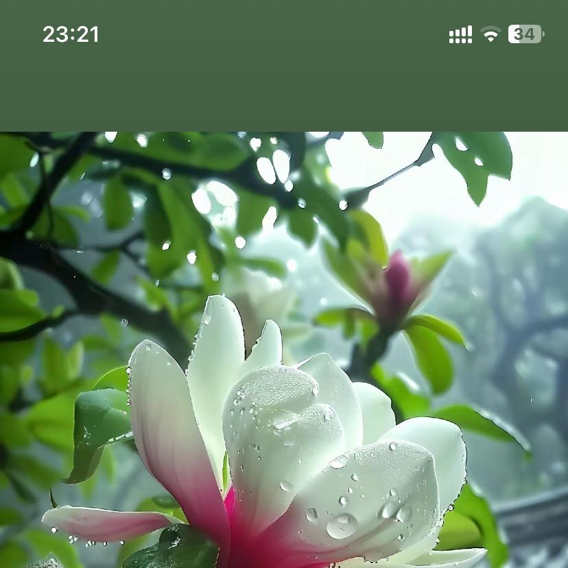 娟姐精品推荐