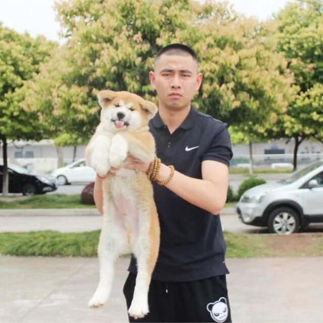 重庆狗哥（新晨宠物诊所）