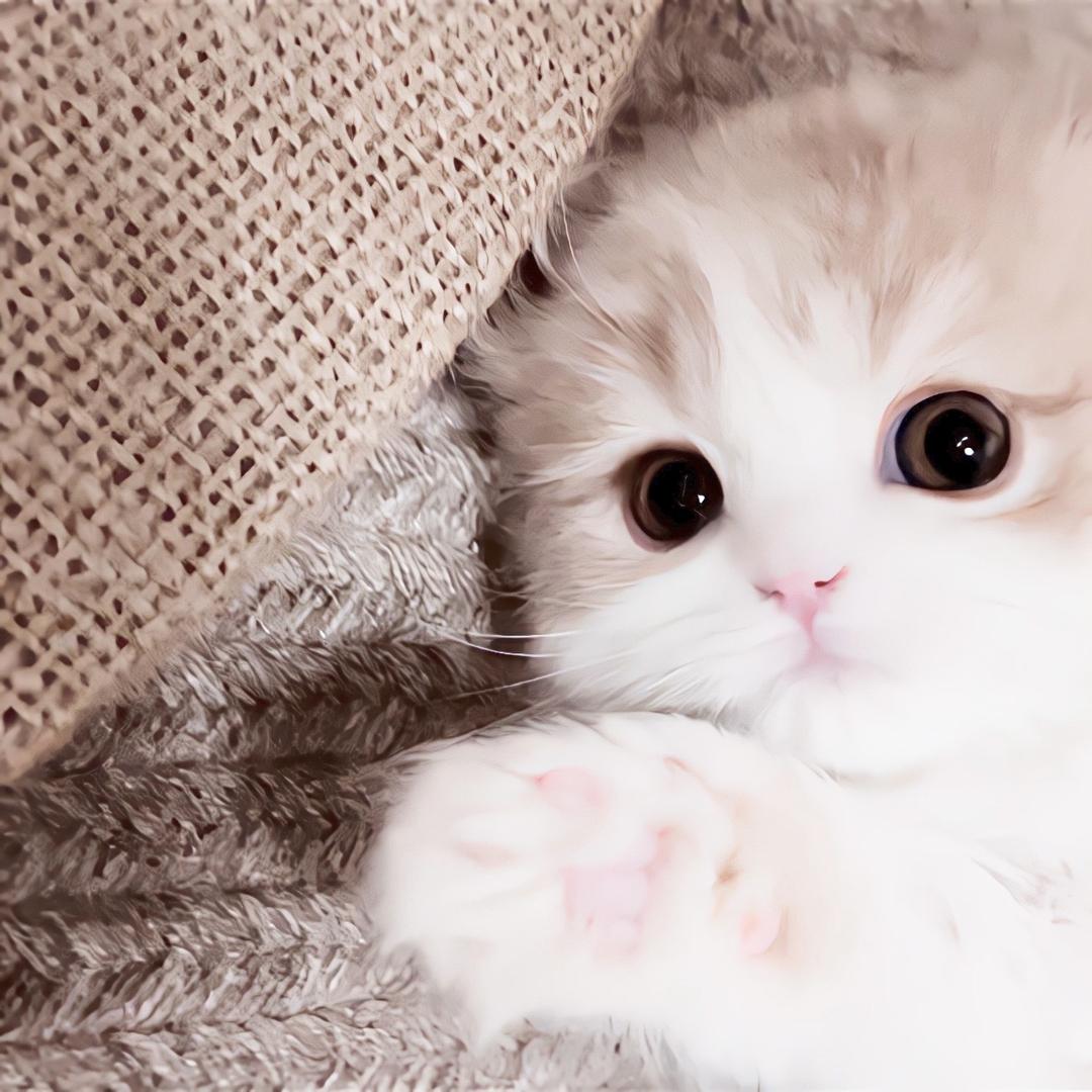 小u伤