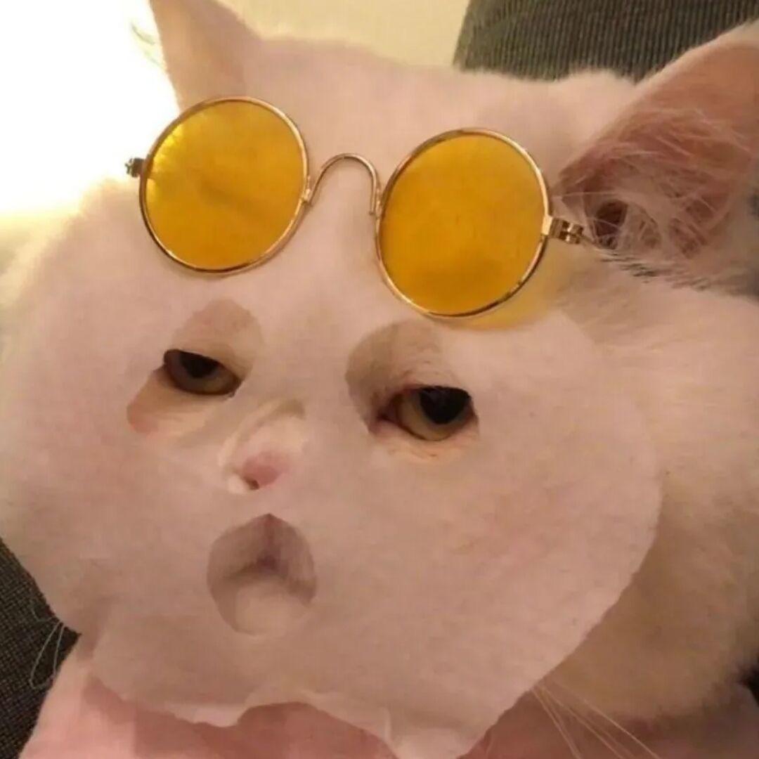 ࿐庆庆记录生活