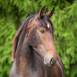 天赐马术俱乐部