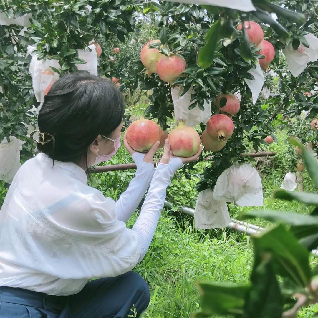 小七月