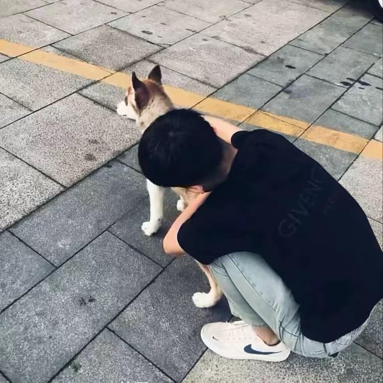 南部救赎.