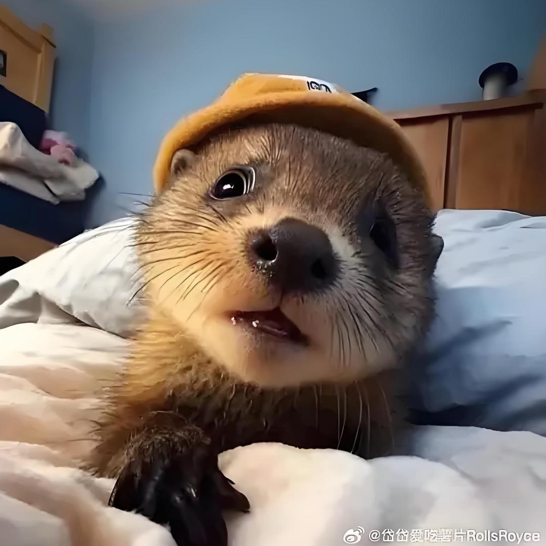 宁晋下小雨