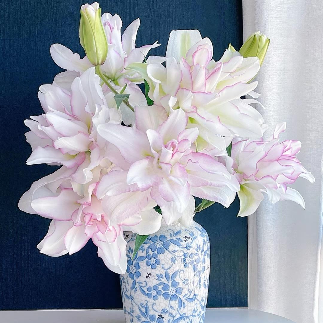 花花熊鲜花批发