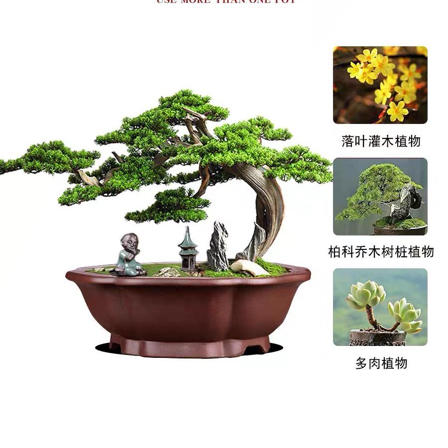 卓方紫砂