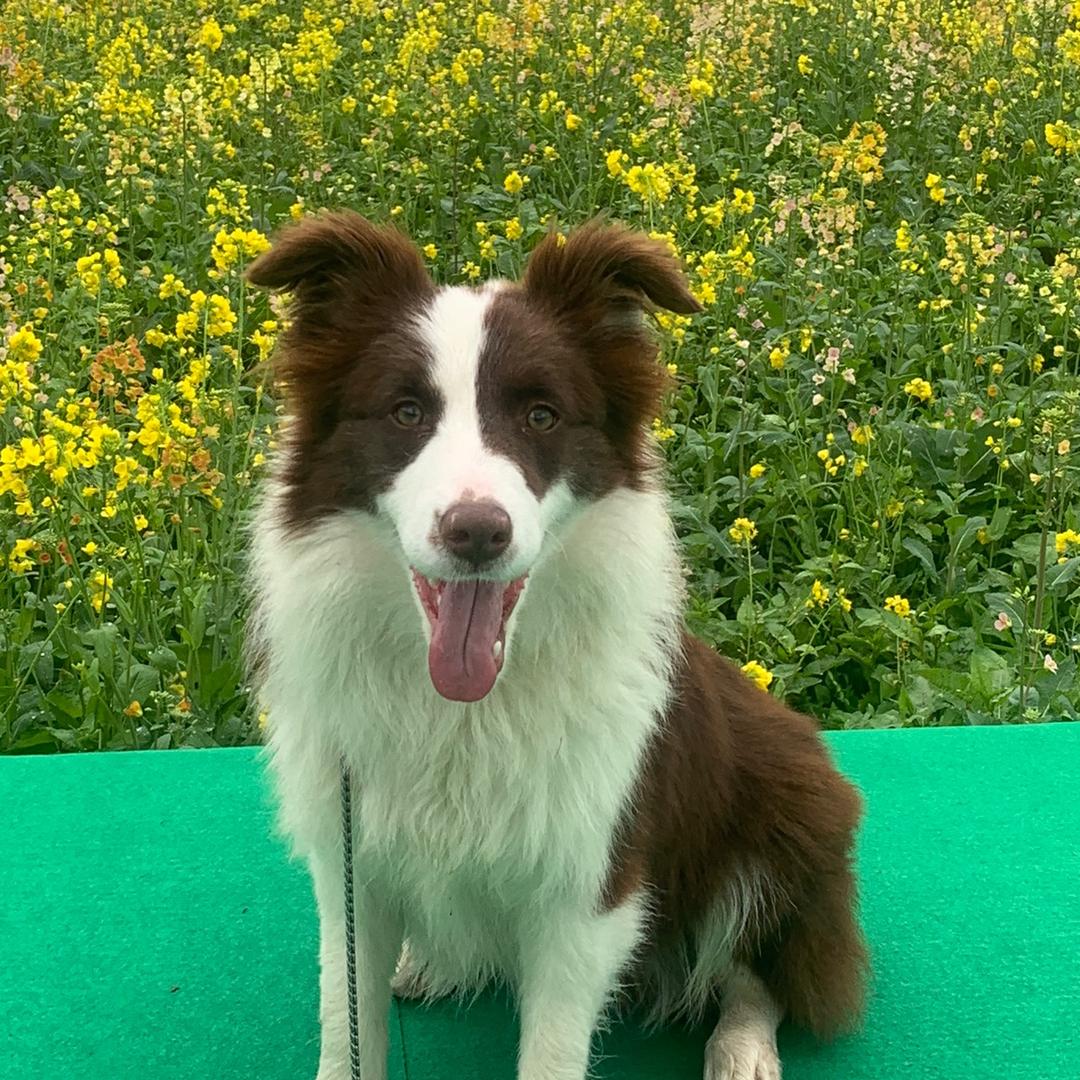 执念（国一混子）