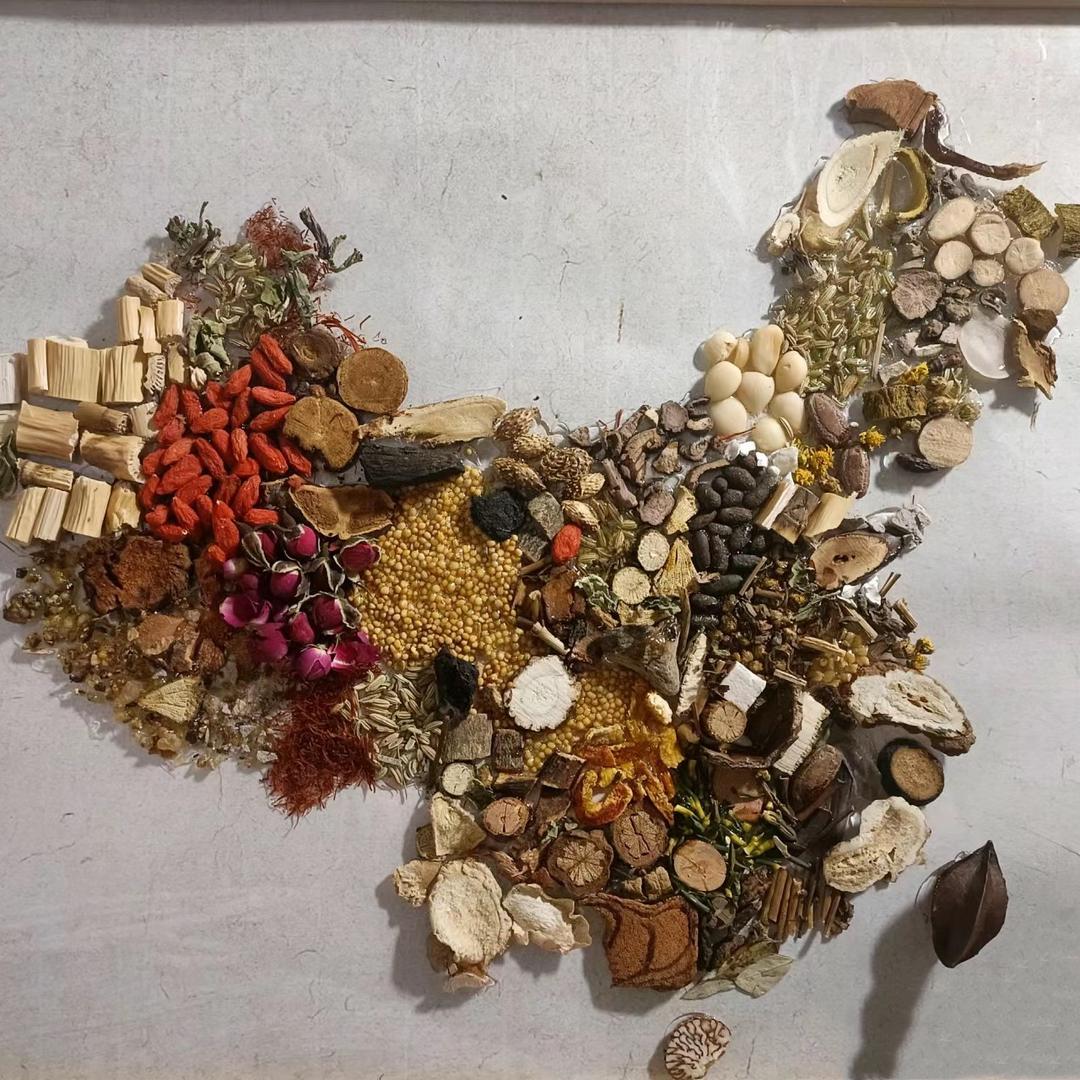 药材种植种苗基地